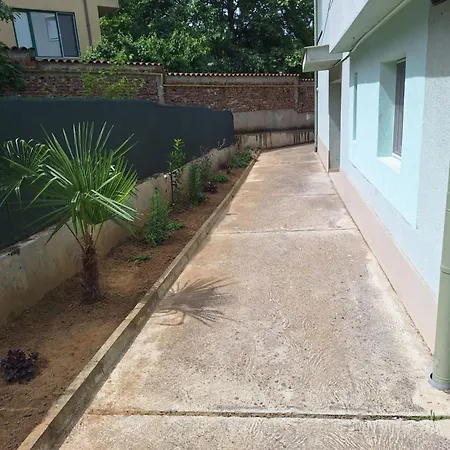 Danaya *