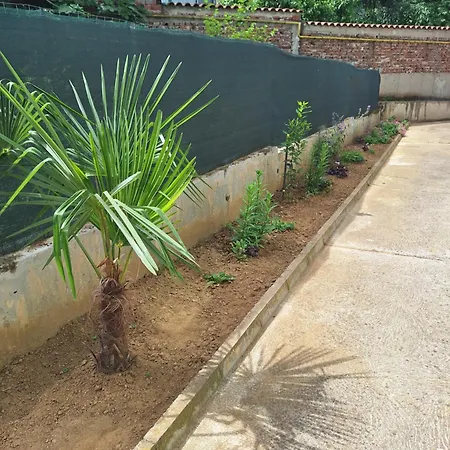 Danaya Apartmán Petrič