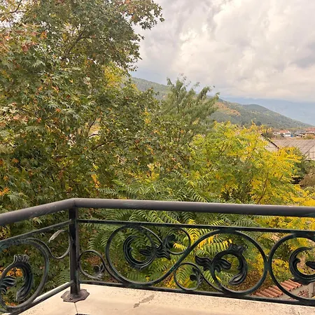 Danaya Apartment Petrich (Blagoevgrad)