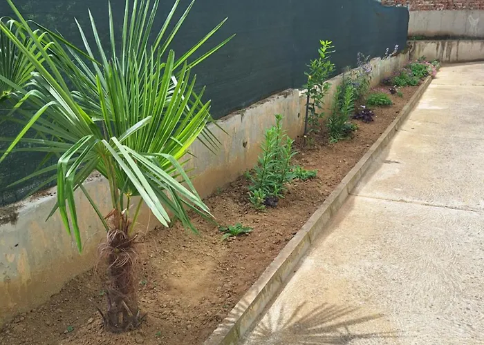 Danaya Apartament Petricz